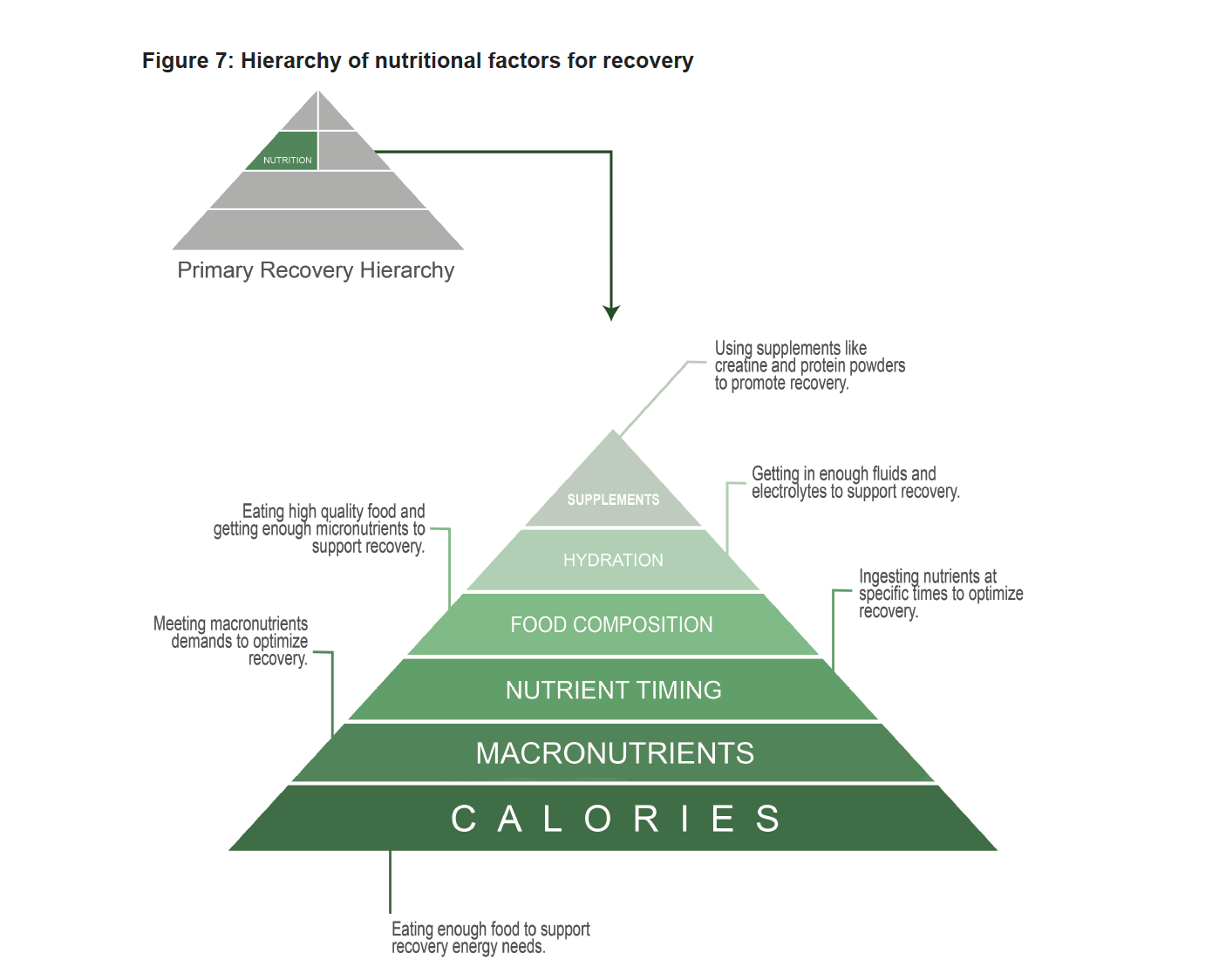 Hierarchy of Nutritional Factors of Recovery