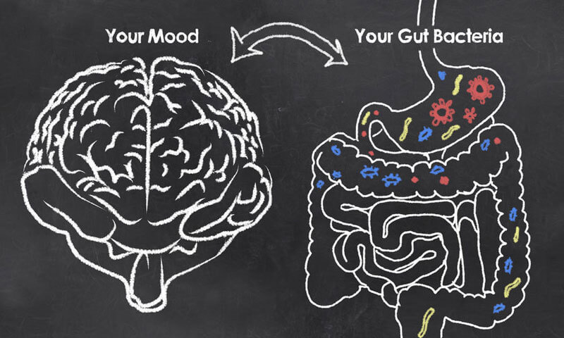 Brain -> Gut