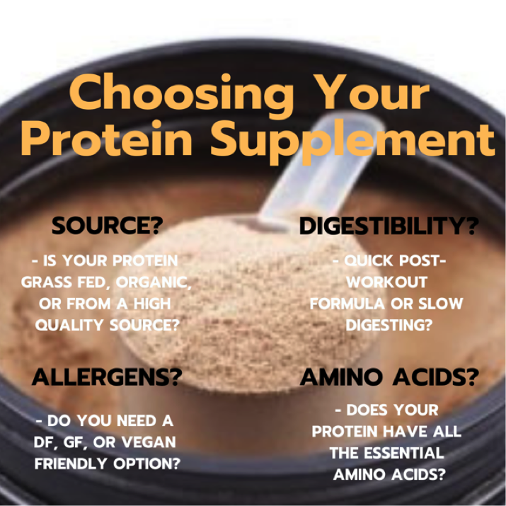 An infographic showing how to judge your protein powder