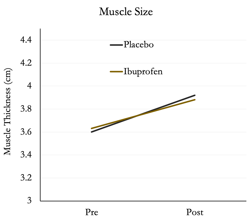 Graph showing Both groups increased muscle size by ~8%.