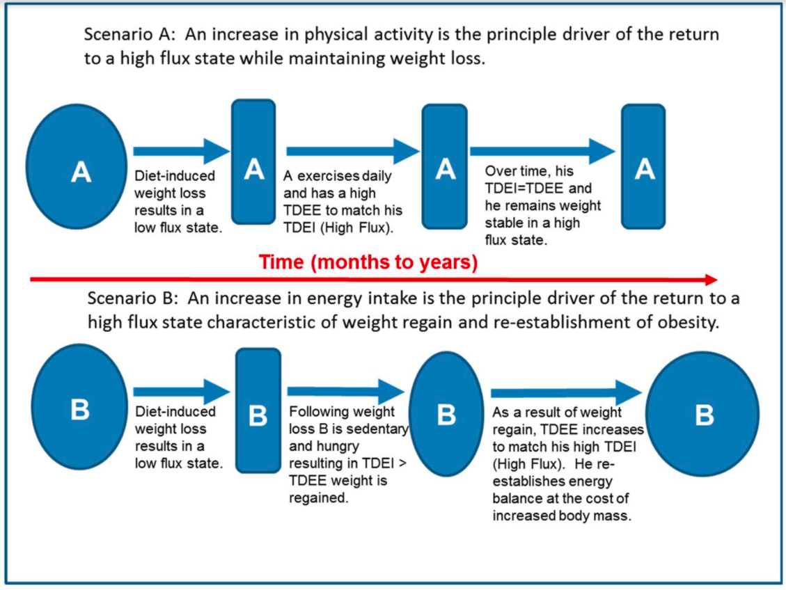 Intake vs. Activity