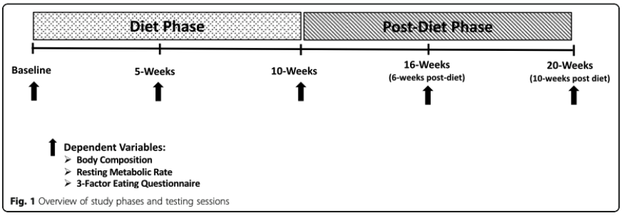 Research Study on Flexible Dieting vs. Rigid Dieting