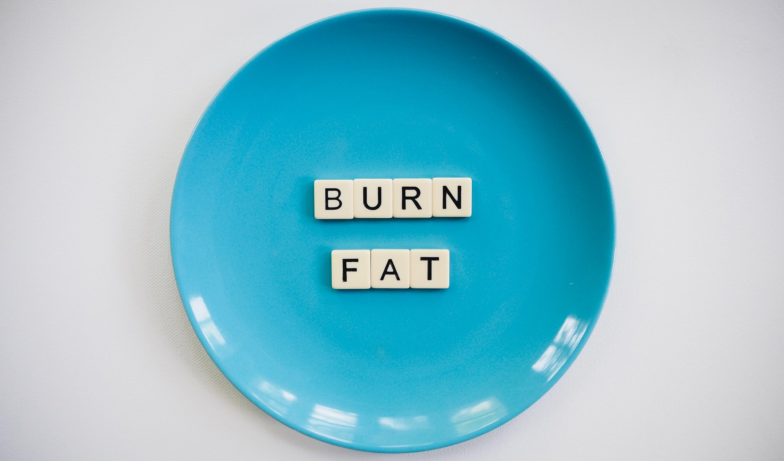 High fat diets store more body fat