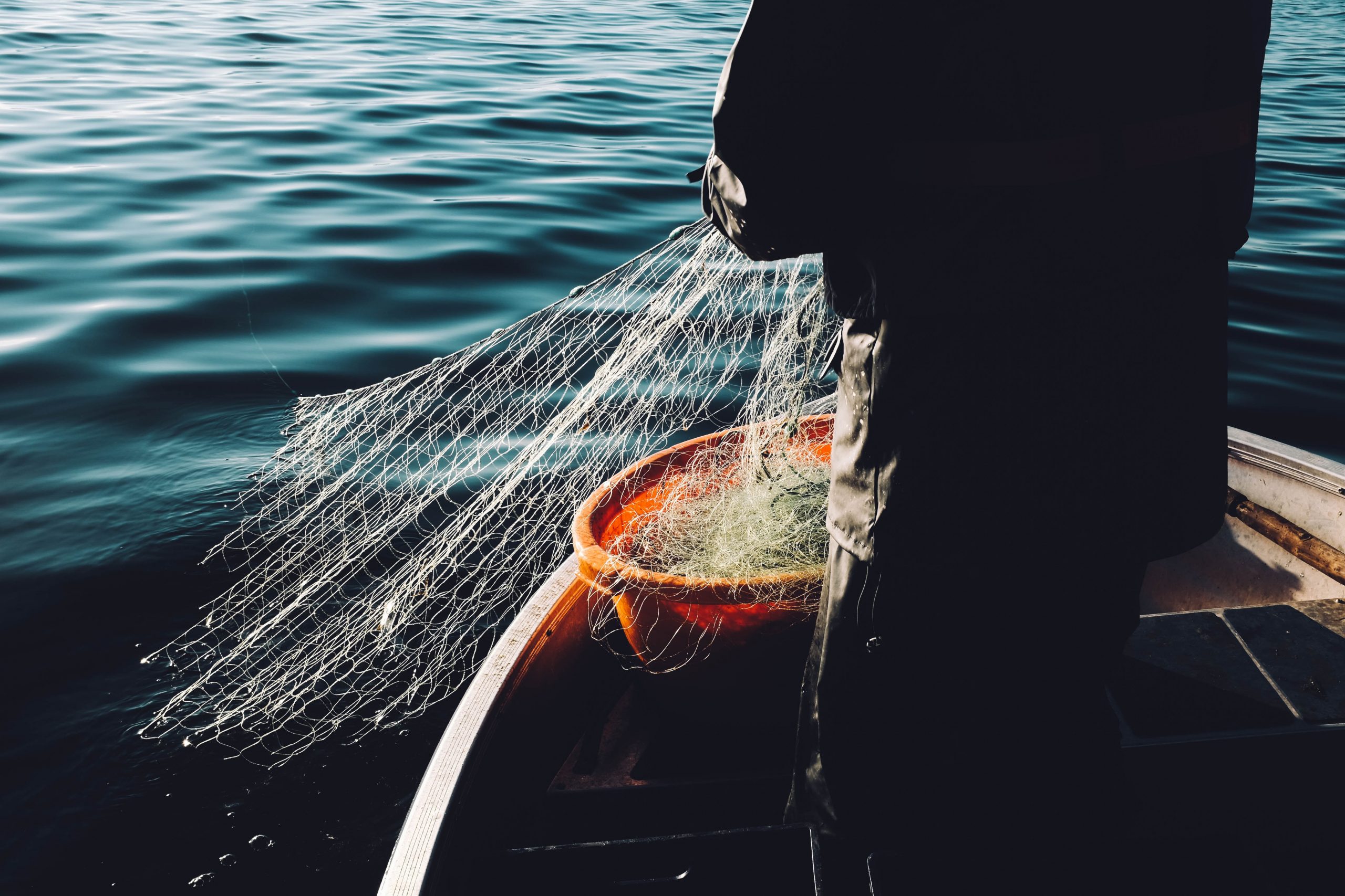 fisherman fishing for fish (fish oil source)