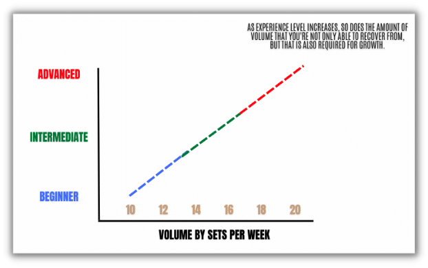 Research Review: How Many Sets Should You Do to Build Muscle?