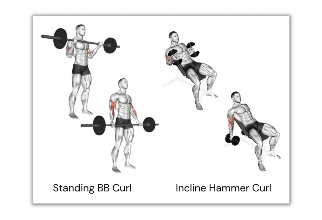 standing barbell curl and incline hammer curls