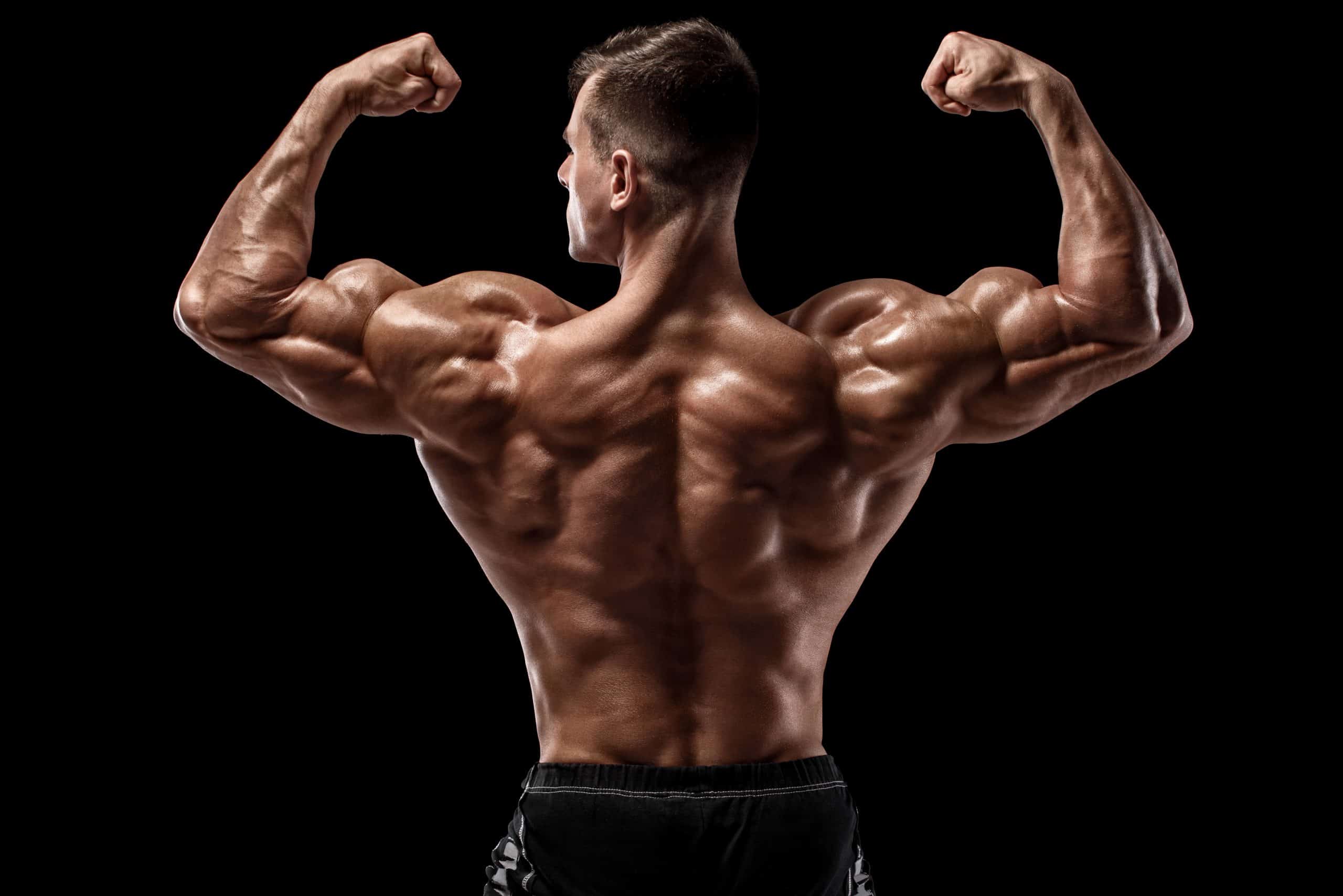 Bodybuilder with high testosterone levels, flexing his back