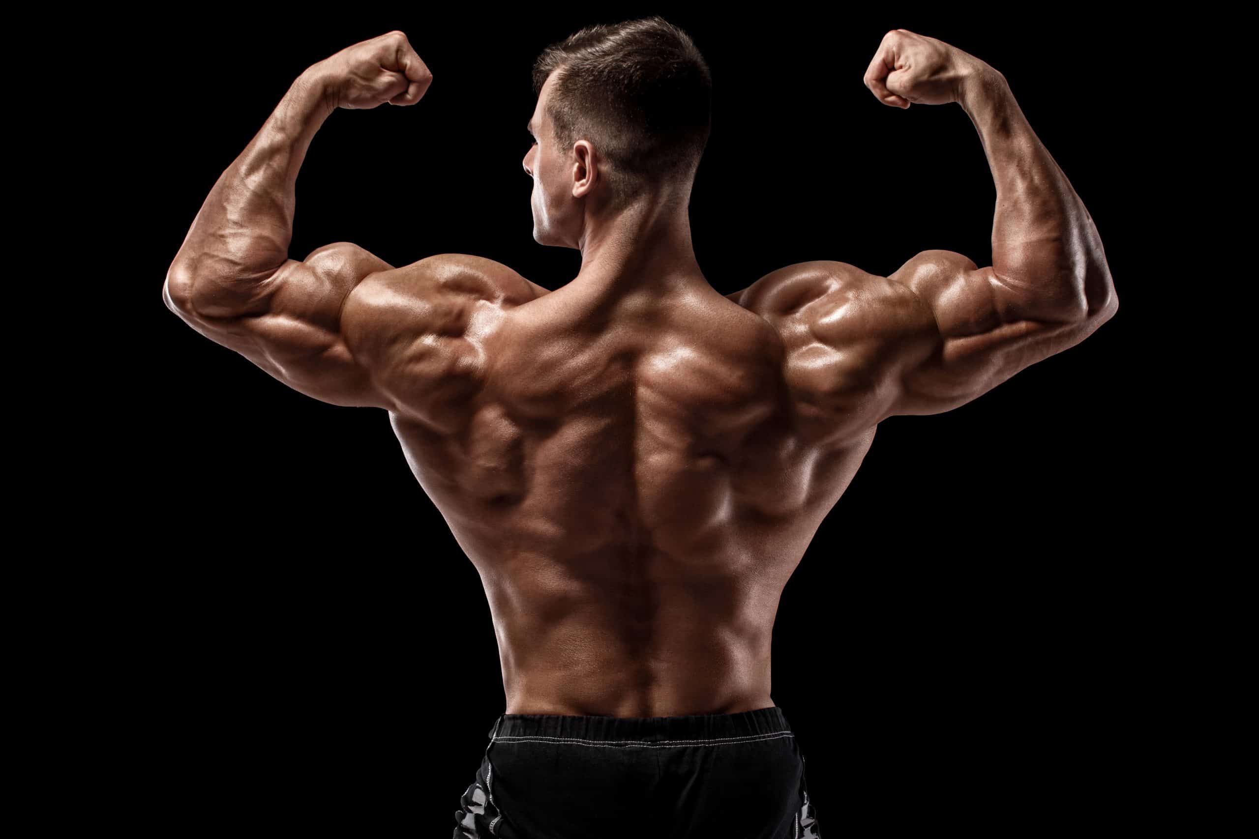 How Your Testosterone Levels Impact Muscle Growth