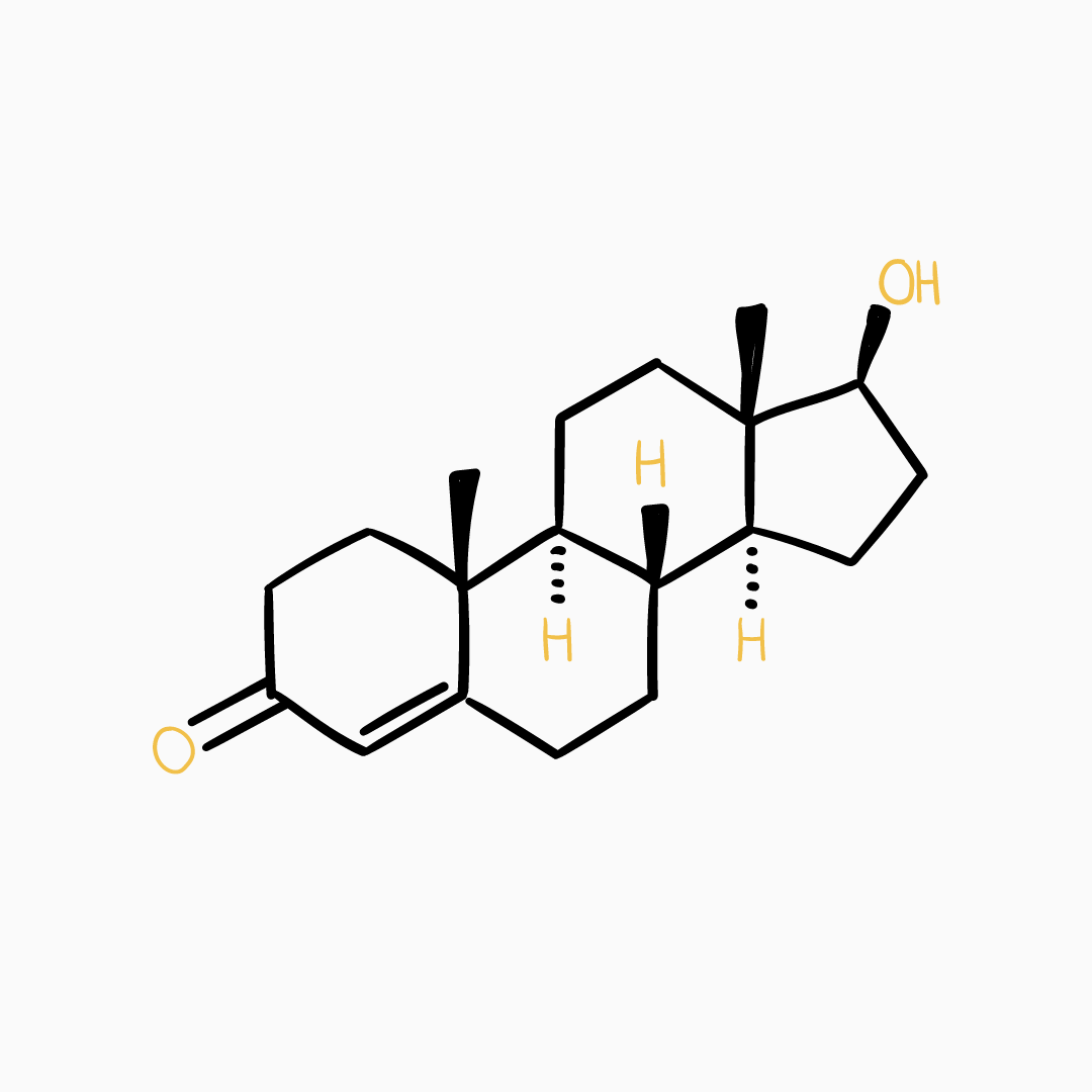 how-to-naturally-boost-your-testosterone-levels