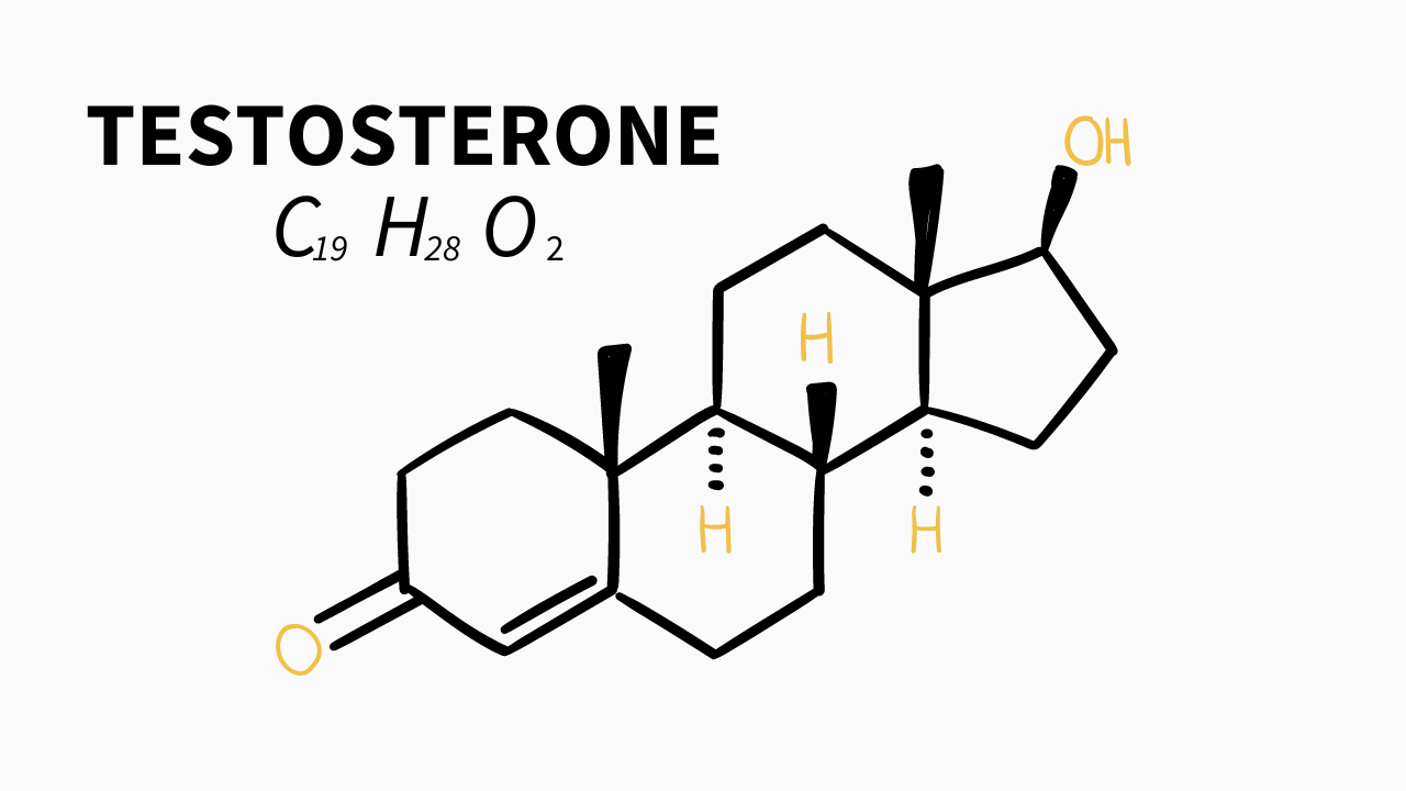 Molecular structure of testosterone