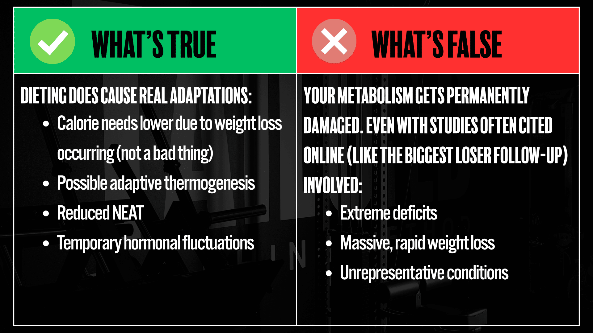 What's true and what's false about your metabolism during and after dieting for fat loss