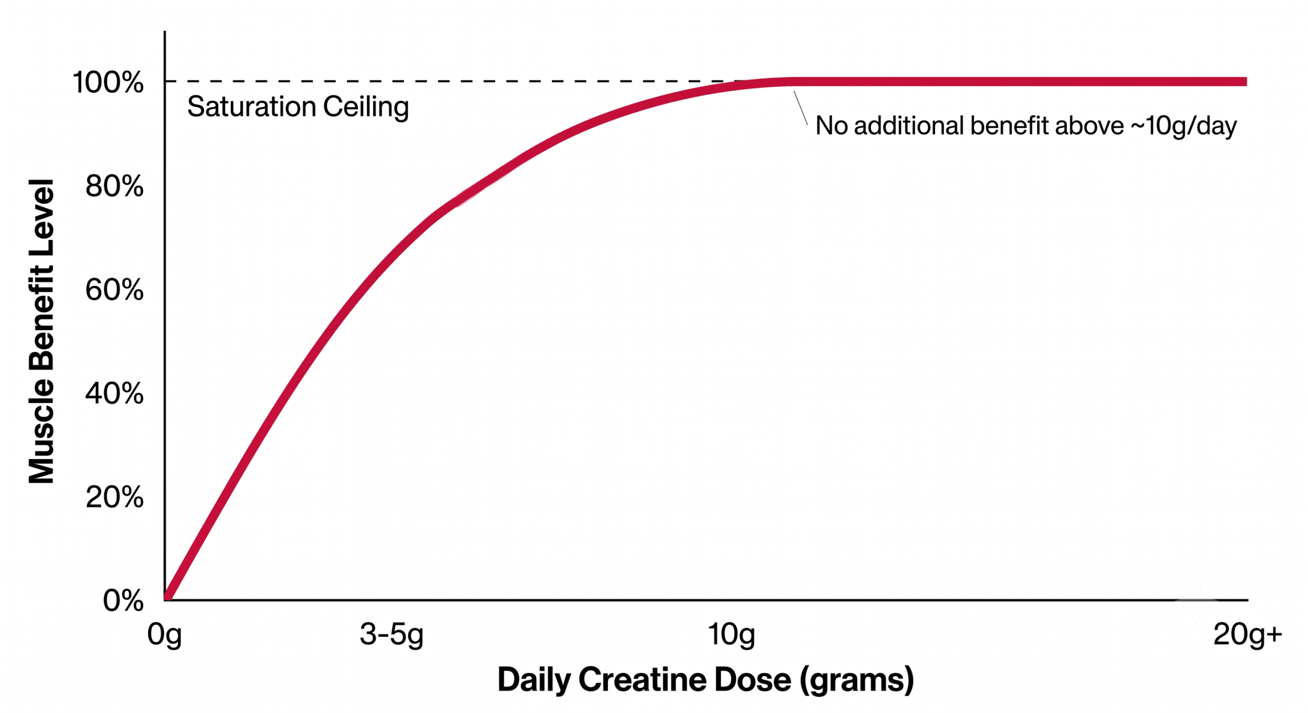 Chart showing creatine monohydrate muscle saturation plateau — no additional benefit beyond roughly 5–10 grams per day