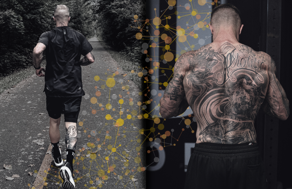 Split graphic of a lifter and a runner connected by a molecular pathway, representing the interference effect in concurrent training.