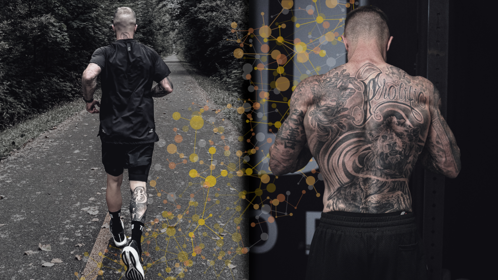 Split graphic of a lifter and a runner connected by a molecular pathway, representing the interference effect in concurrent training.