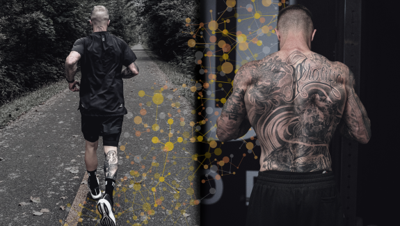 Split graphic of a lifter and a runner connected by a molecular pathway, representing the interference effect in concurrent training.