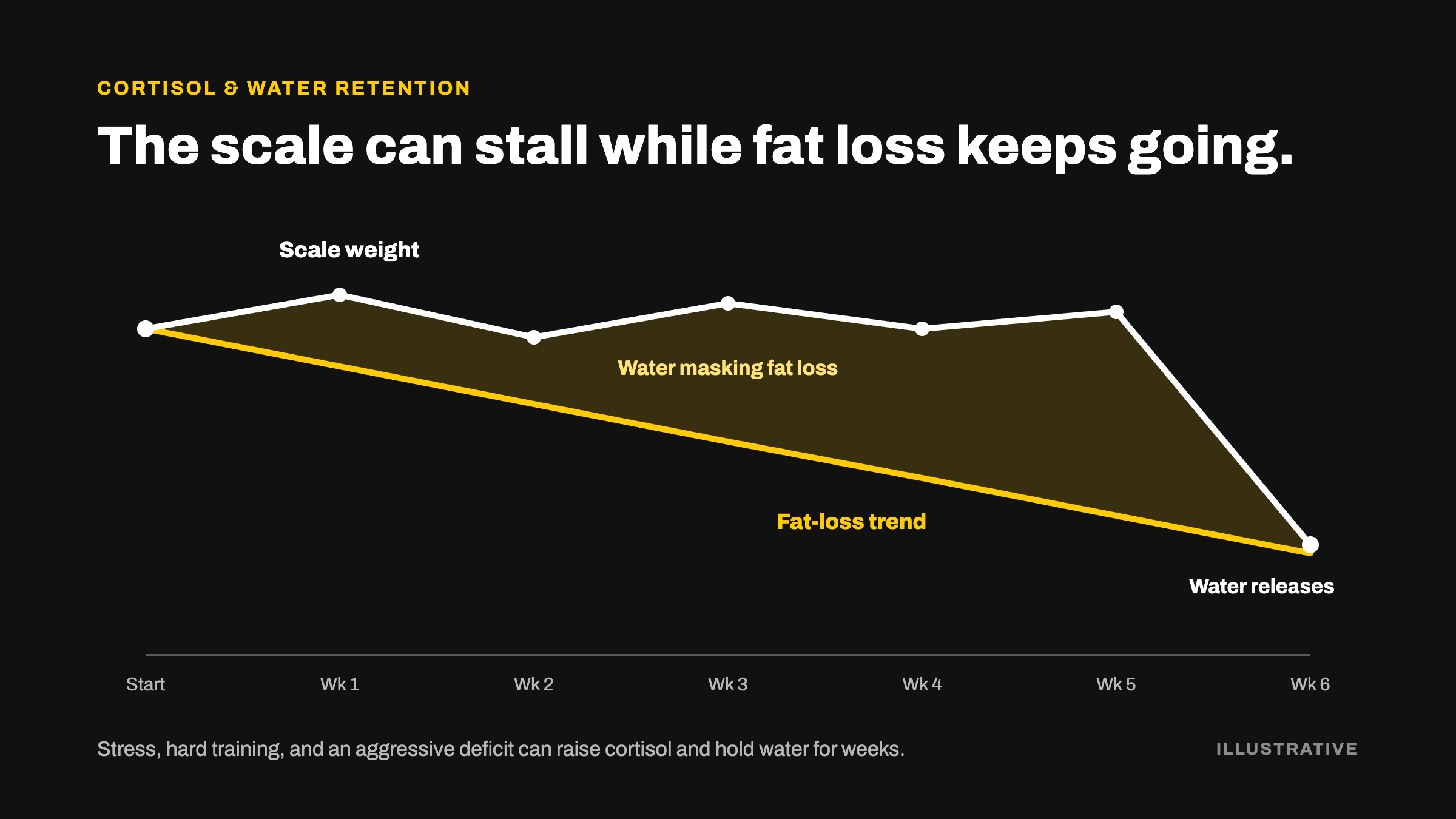 Illustrative chart of scale weight staying flat while fat mass trends down over several weeks due to water retention
